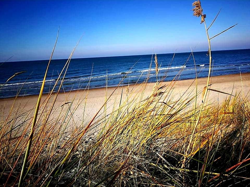Dianos Apartamentai Palanga Buitenkant foto